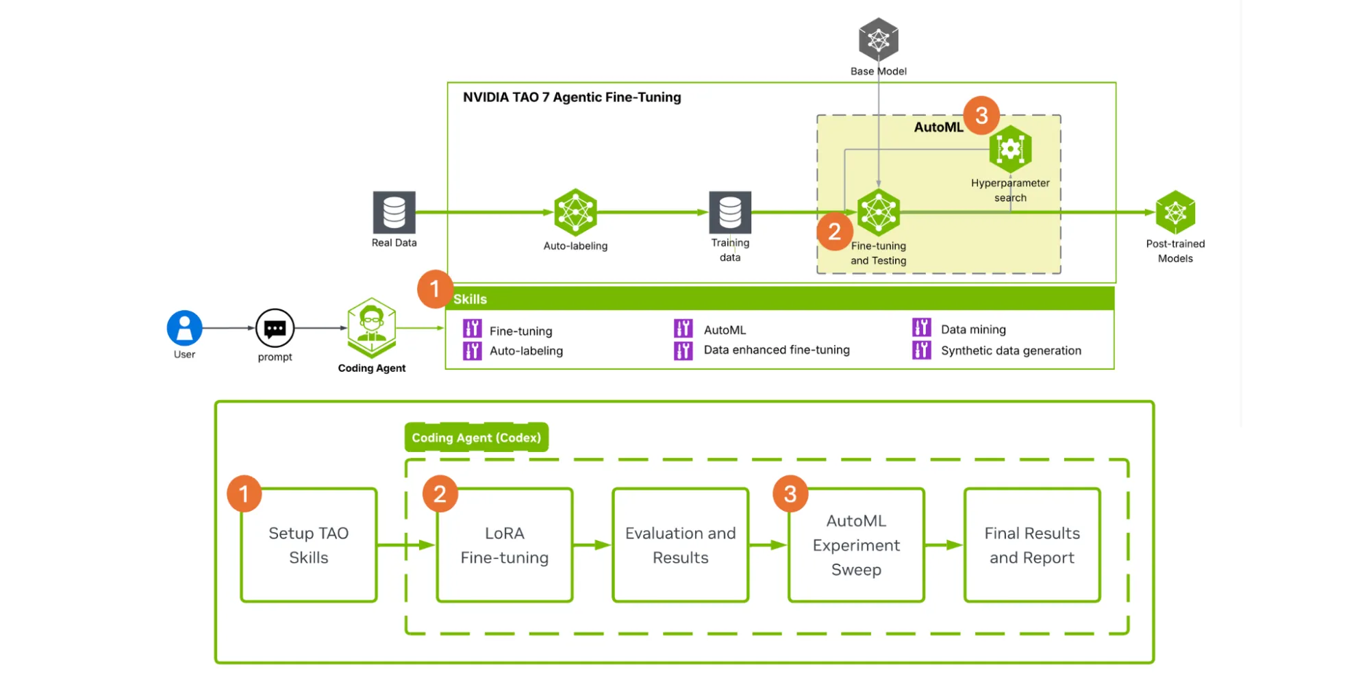 A functional flow diagram with numbered steps mapping out the process. Step 1 sets up the TAO skills, Step 2 runs the LoRA fine-tuning and evaluation using one prompt to coding agent, and Step 3 starts the AutoML experiment sweep with another prompt, before generating final reports. 